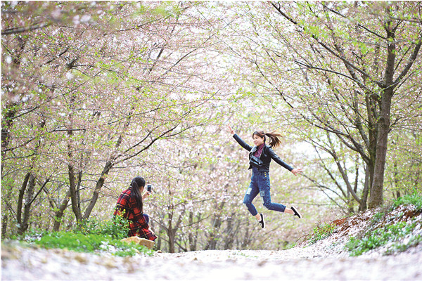 平坝万亩樱花花开季节,贵州平坝万亩樱花门票费是多少
