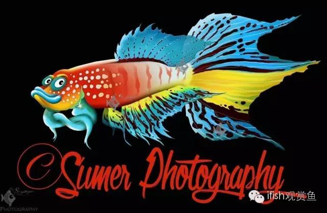 鱼可爱卡通画,鱼卡通可爱