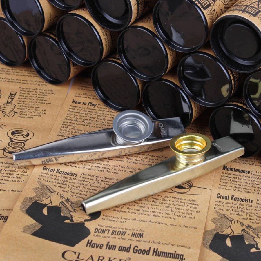 小学生哪种乐器比较简单易学,有没有什么好学的小乐器推荐