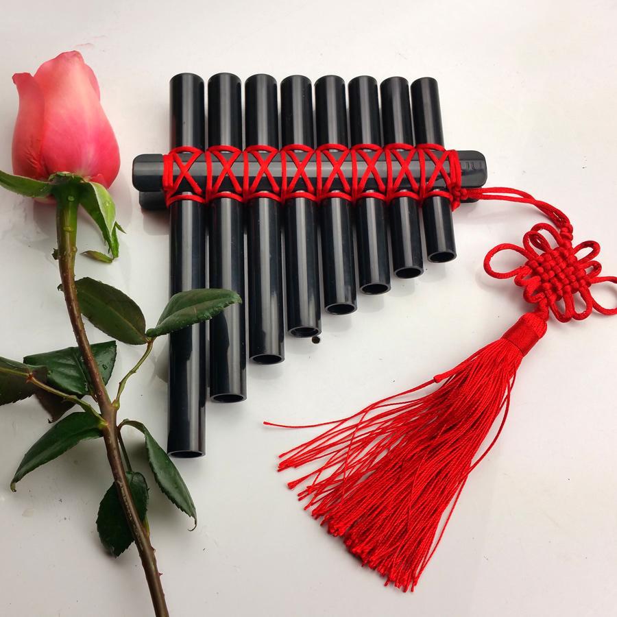 小学生哪种乐器比较简单易学,有没有什么好学的小乐器推荐