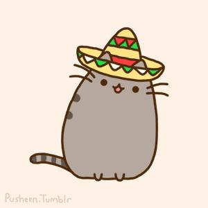 被车堵住了114查询不到电话怎么办,车被堵住了应该打什么电话求助