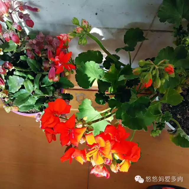 你们的名字有多土,你们的名字叫什么