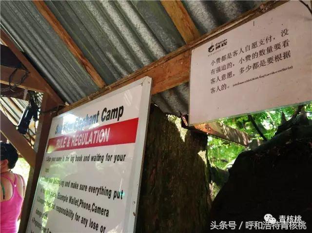 刷我滴卡泰国原版,呼和浩特直飞普吉岛