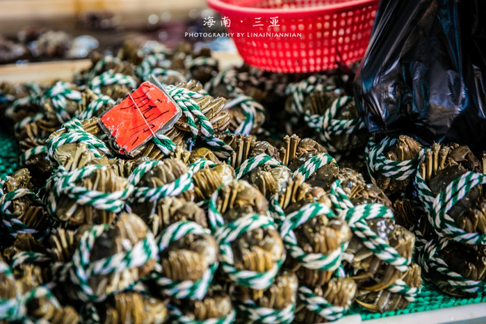 亲子游三亚旅行攻略,三亚北纬十八度亲子游