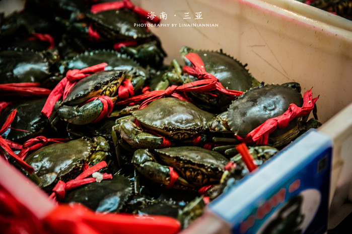 亲子游三亚旅行攻略,三亚北纬十八度亲子游