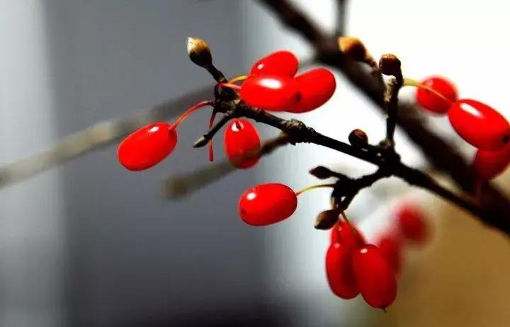 秦岭深处,秦岭深处有人家