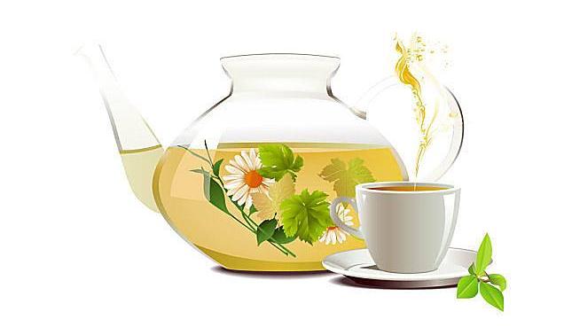 菊花茶功效作用和禁忌症,胖大海菊花茶功效与作用