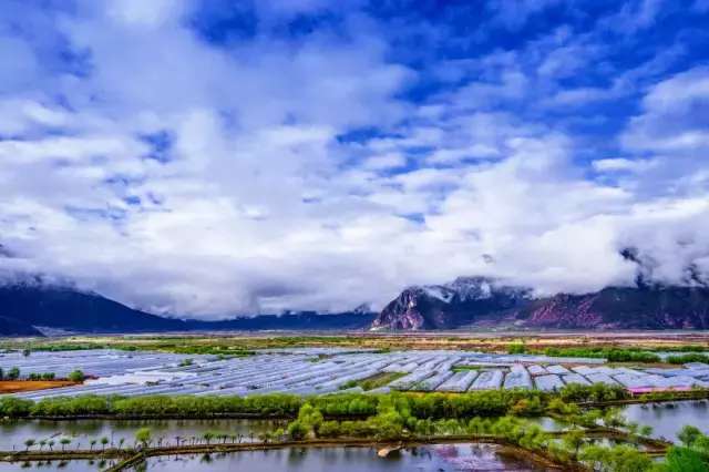 一封来自*藏西**的辞职信