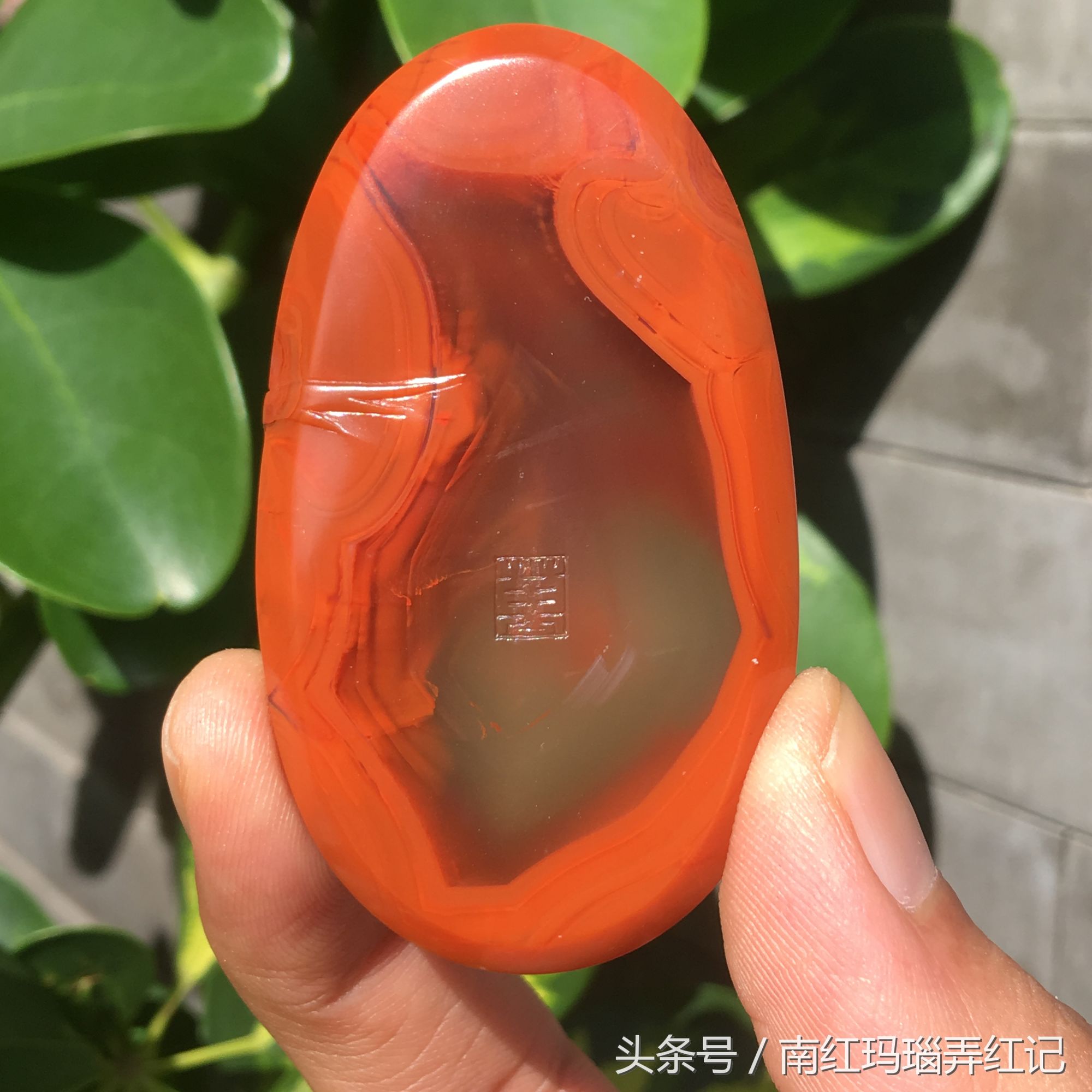 花开富贵喜鹊图寓意,喜鹊花开富贵图