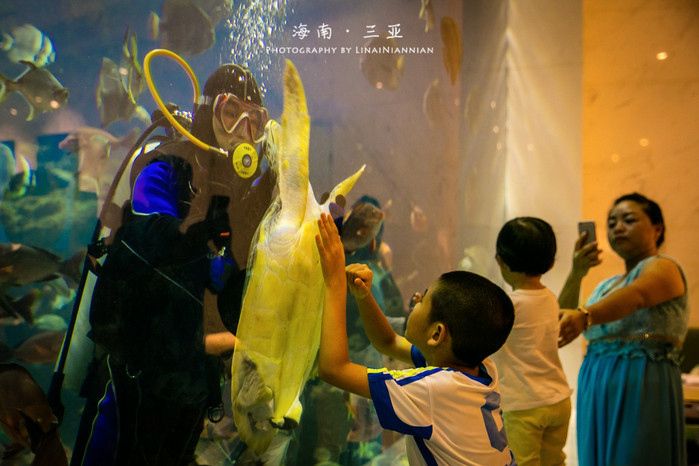 亲子游三亚旅行攻略,三亚北纬十八度亲子游