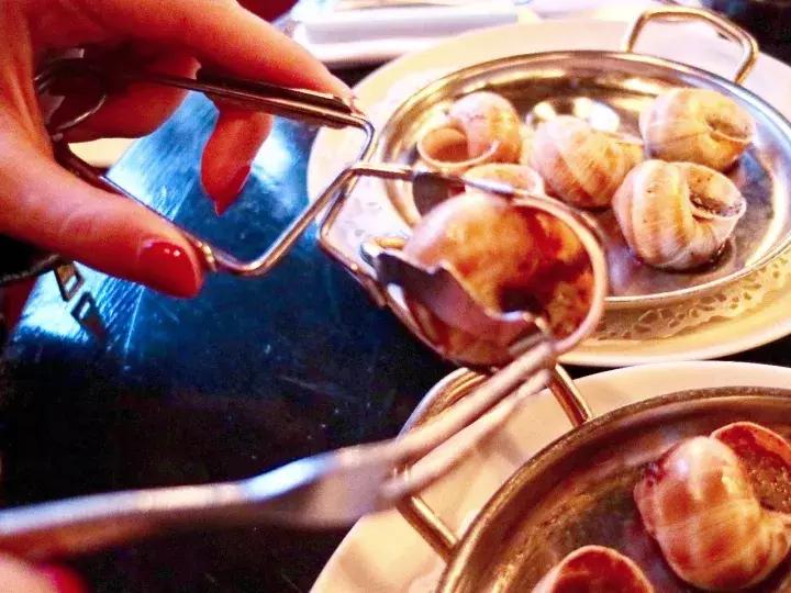 蜗牛是周杰伦的“励志写照”，却是法国人最爱的夜宵