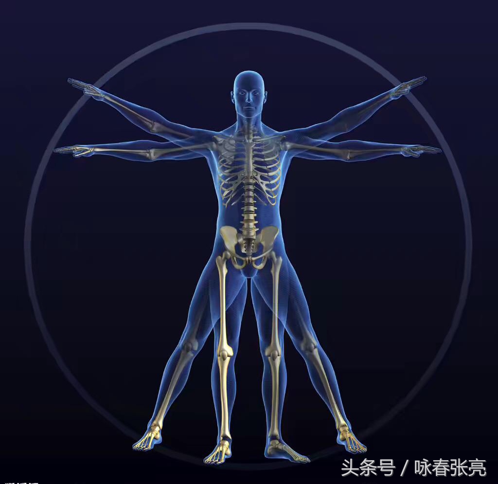 咏春拳十大杀招图解,咏春拳击打颈部招数