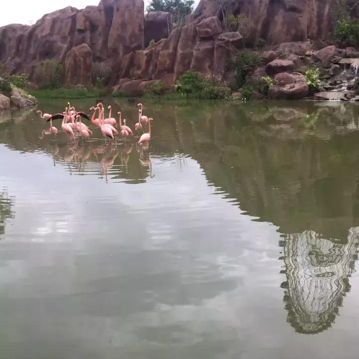 走小路去越南,私奔到越南