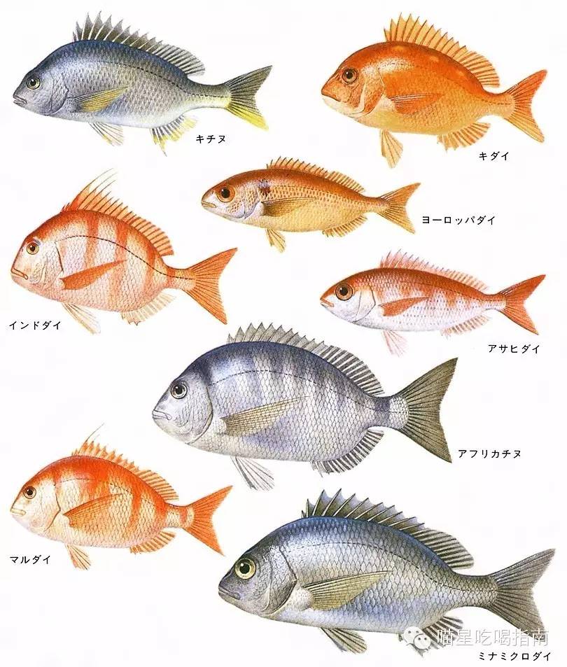 来一口甜口味的春天,来一口春天的味道