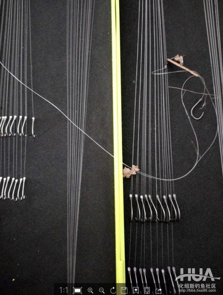 自制钓草鱼玉米必须要煮吗,发酵的玉米可以钓草鱼吗