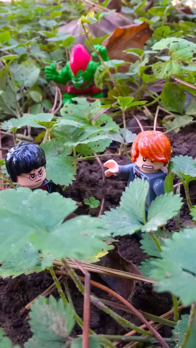 一个纯爷们的乐高小人国历险记