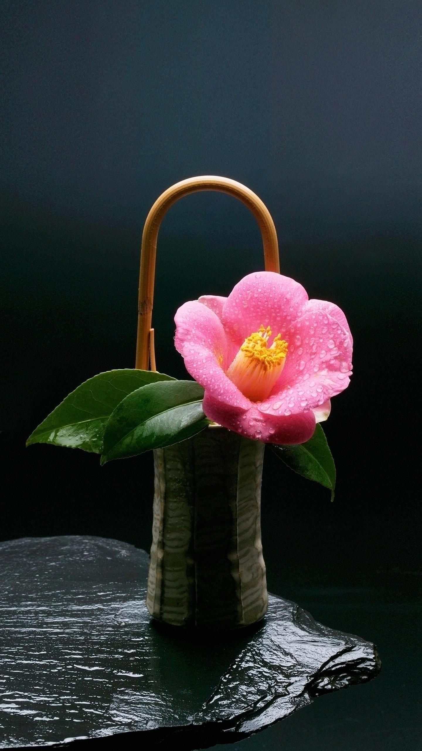 刻骨铭心的爱应该是这样的,刻骨铭心的爱总是那么撕心裂肺