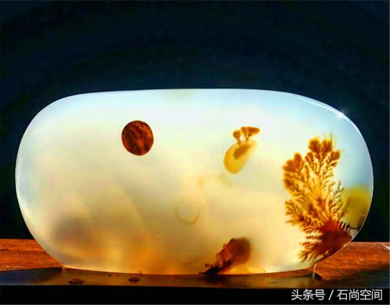 月是故乡明全集免费观看,月是故乡圆电视剧全集