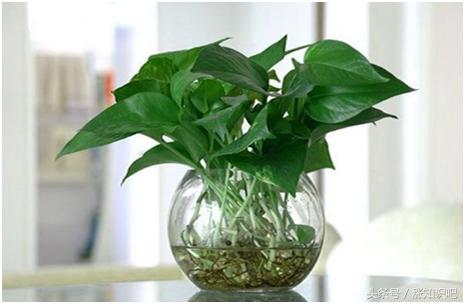 每天吸收一个小时甲醛,冬天每天开空调8小时去甲醛