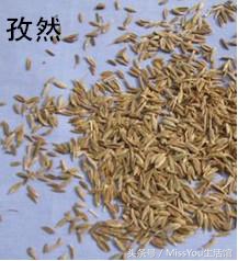 锡纸花甲粉怎么开店,锡纸花甲粉去哪里学