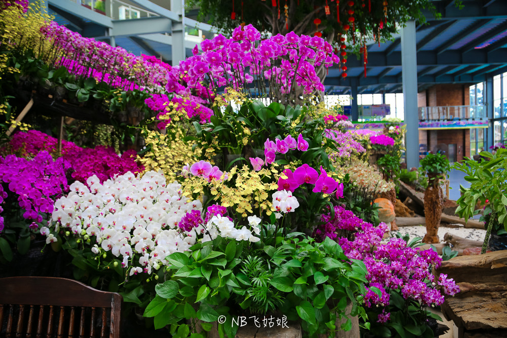 南通滨江公园亲子游,南通洲际绿博园有什么好玩的