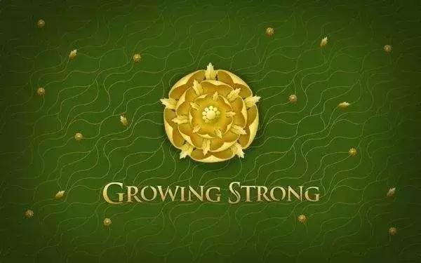 权力的游戏八集一口气看完不分段,权力的游戏6到8季片段整理