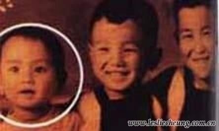 张国荣的故事演唱会,张国荣的故事的视频