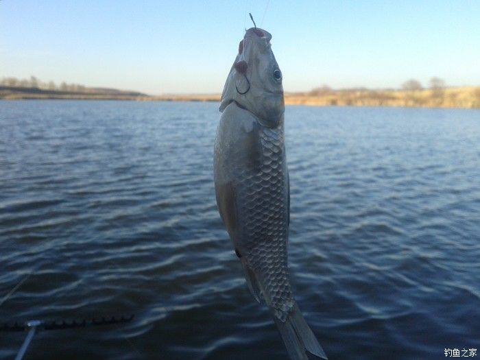 远征远征17,远征17-20