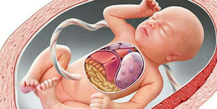 如何面对胚胎停育？