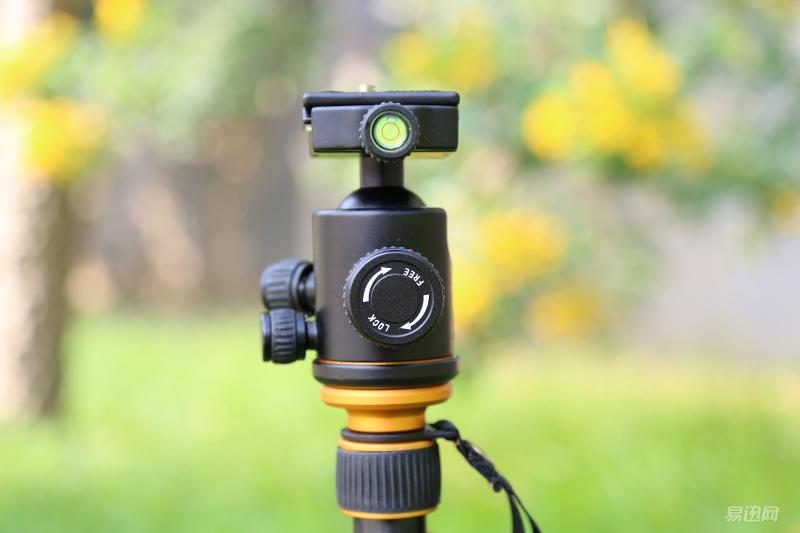 进入摄影坑不久的新人,刚入坑摄影的照片