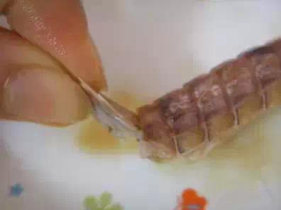 大连虾爬子几月开始吃,虾爬子几月好吃