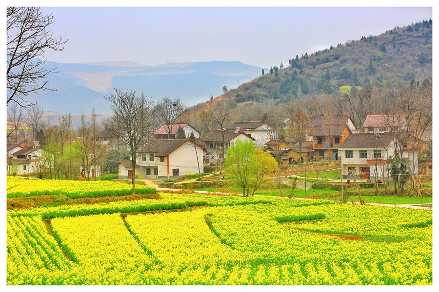 聚焦陕西蓝田泄湖镇,蓝田县洩湖镇发展规划