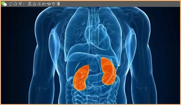 急性肾炎的中医治疗方法,急性肾炎中医治疗方法