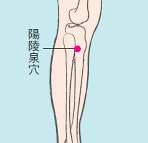 减湿排浊最快的方法,排湿气补气血怎么治