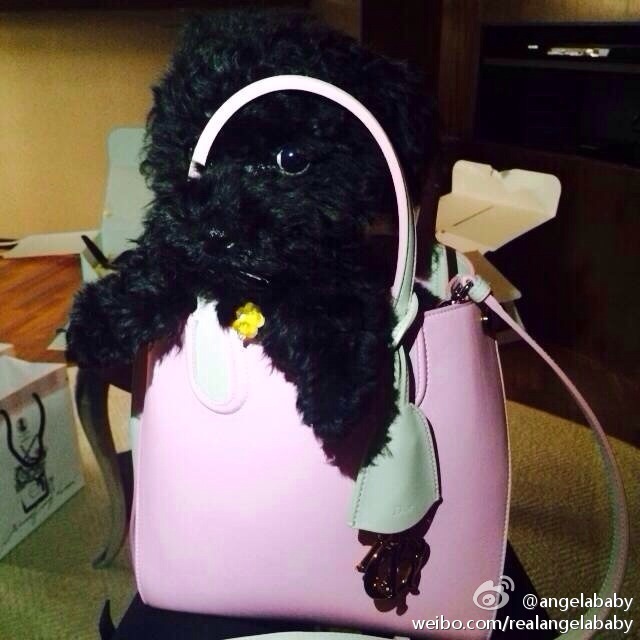 炫富技术活,炫富是一种技术