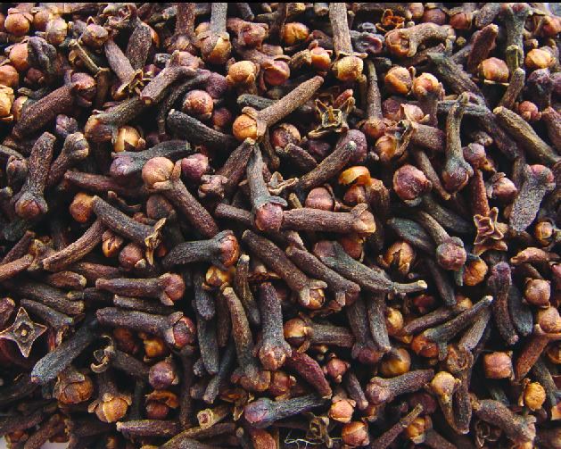 为什么重庆火锅那么出名,连马云都吃不起的食物