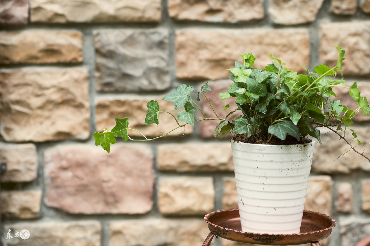 入住新房除甲醛最有效的方法,新房甲醛污染如何治理