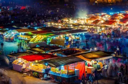 喵星人｜铲屎大大，发现一个超适合撸猫的地方……