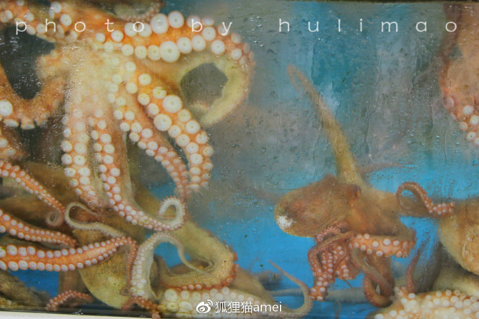 济州自由行,济州岛游记推荐