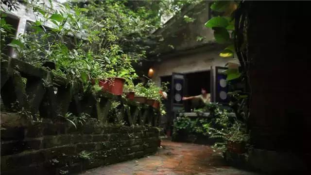 小洲玩点啥,小洲去哪玩了