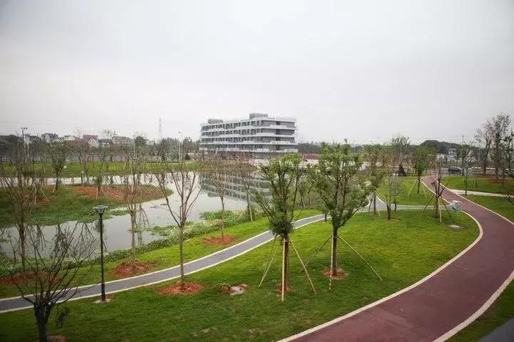 行知学院兰溪有大学城吗,浙江行知学院兰溪校区