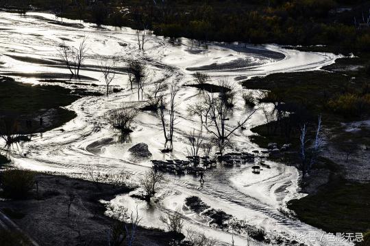 尼康d850配适马85mmf1.4art,适马小黑五代尼康d850