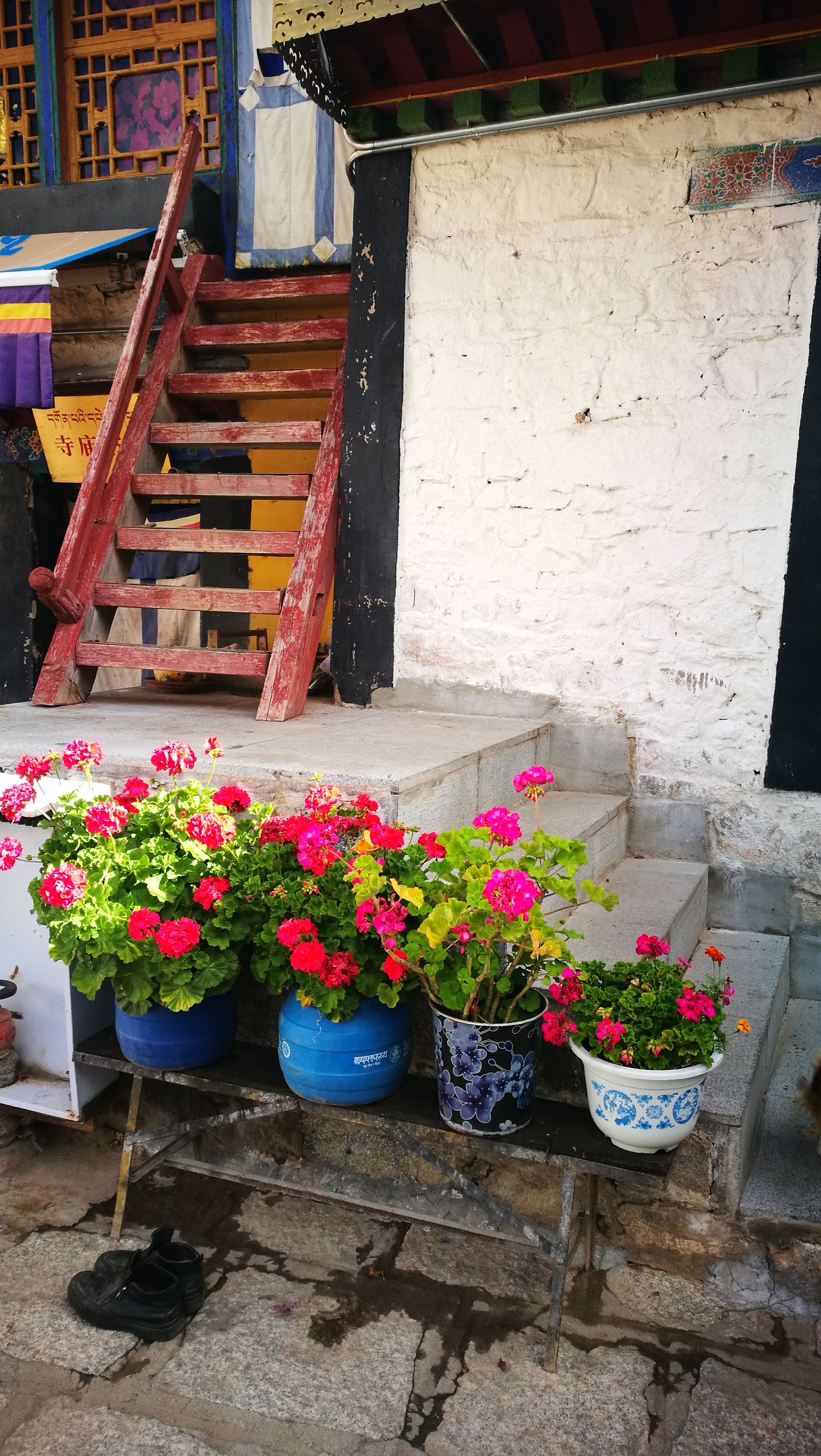 阿底峡尊者完整视频,聂当卓玛拉康与阿底峡尊者