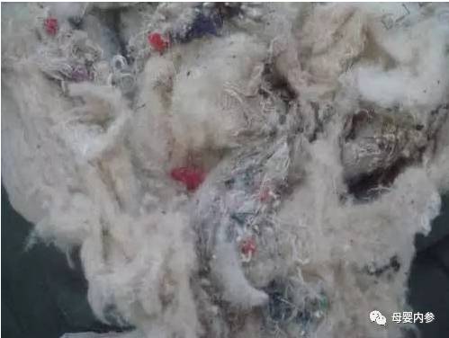 太便宜的棉衣，千万不要给孩子买！