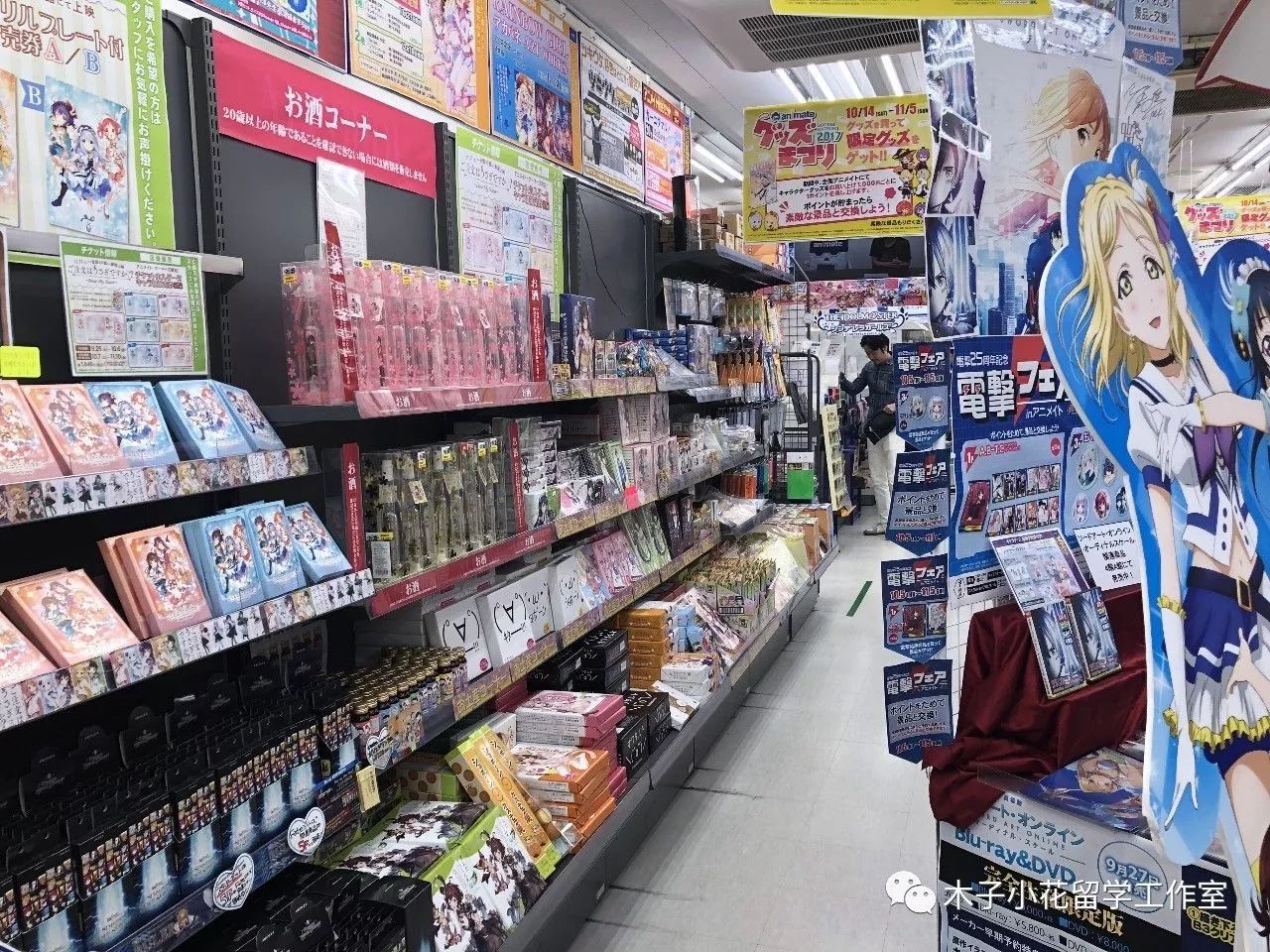 秋叶原之旅支线任务攻略,秋叶原之旅游戏攻略