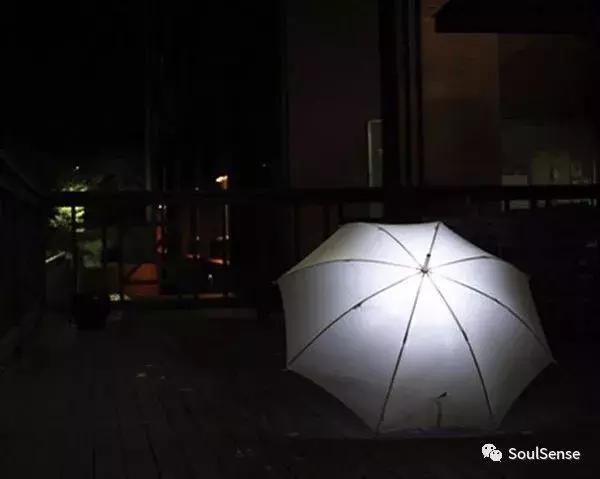 收藏雨伞,高档收藏雨伞