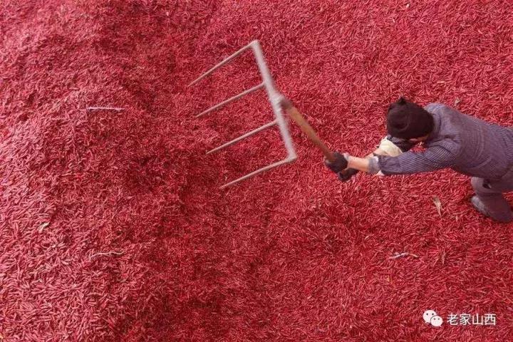 走到哪里都忘不掉家乡的味道,走到哪里也忘不了老家