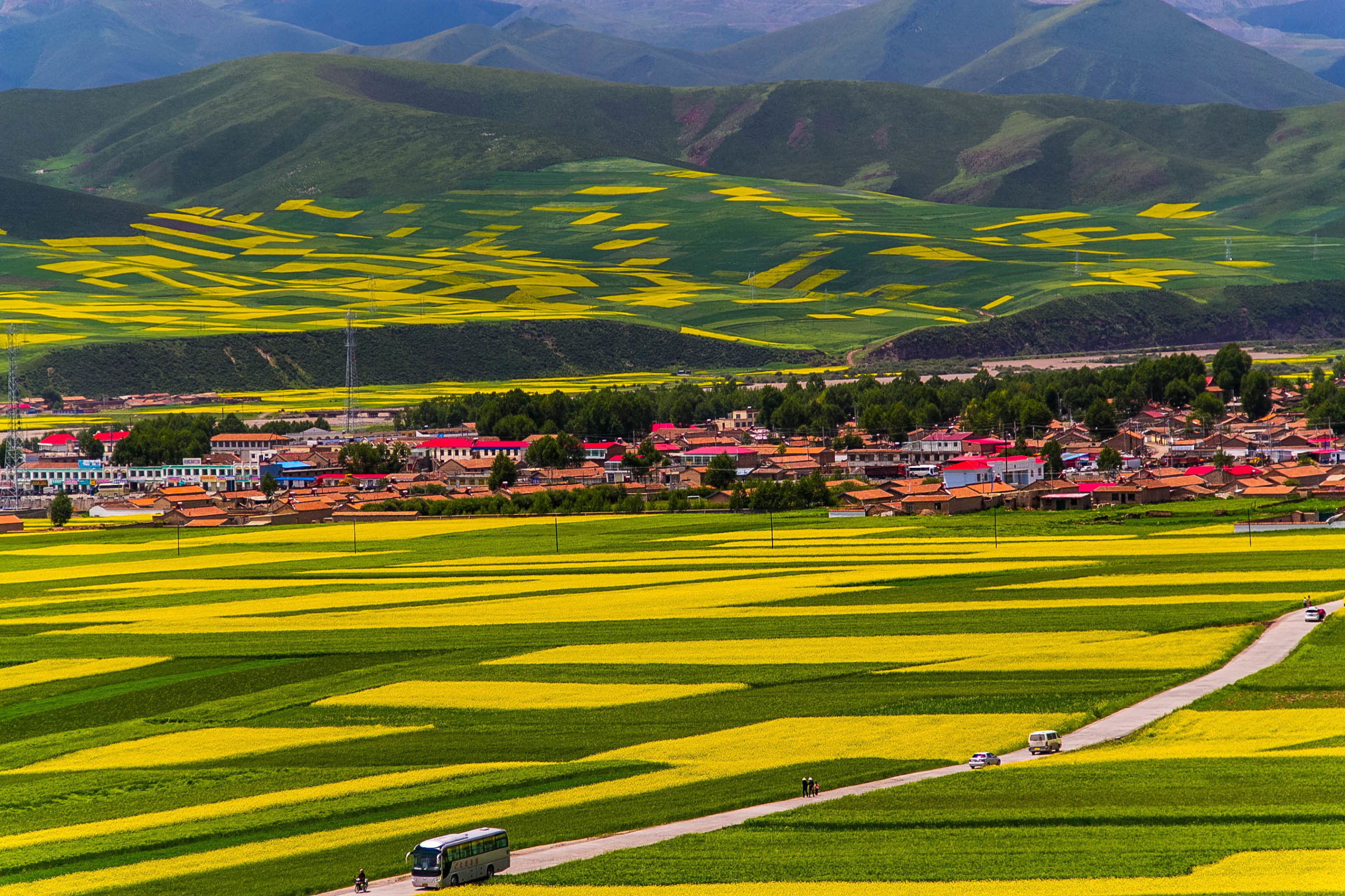 *藏西**的山石上,抱琴不愿归
