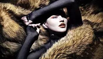 kc皮草商标是真的吗,kc皮草和海宁kc皮草有什么区别