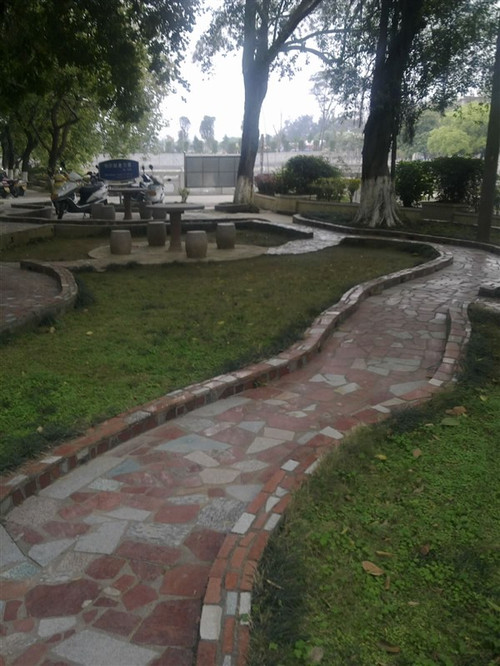 前辈眼中的大学:肇庆学院